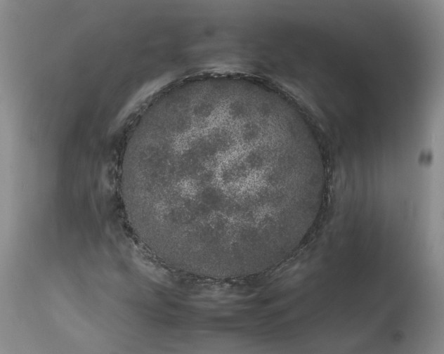 X0000113561207200910021546