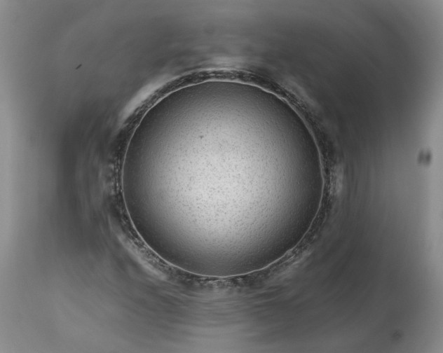 X0000113561208200910021546