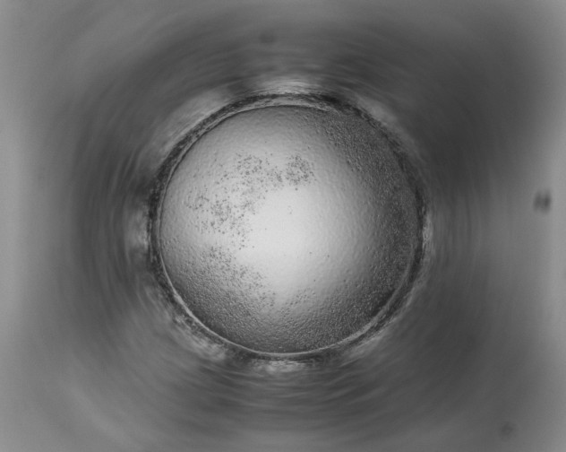 X0000113561209200910021546