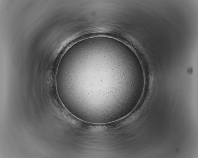 X0000113561210200910021546