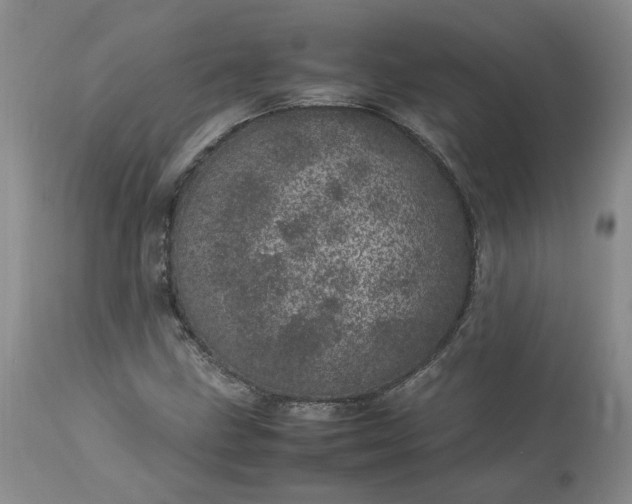 X0000113561211200910021546