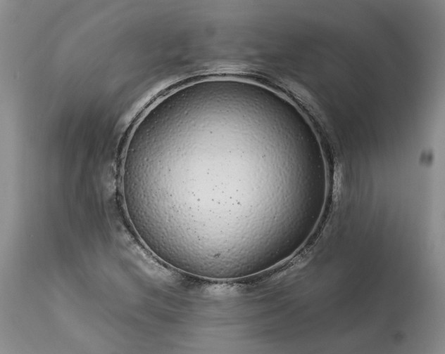 X0000113561212200910021546