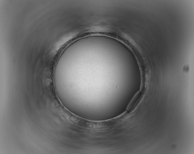 X0000113561213200910021546