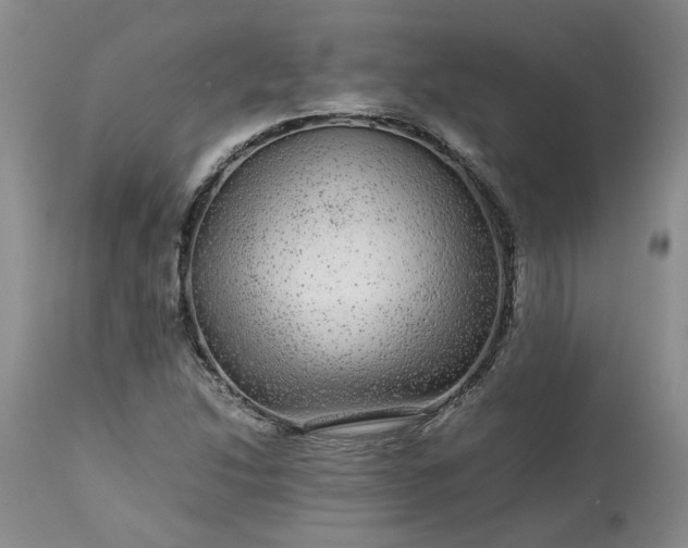 X0000113561214200910021546
