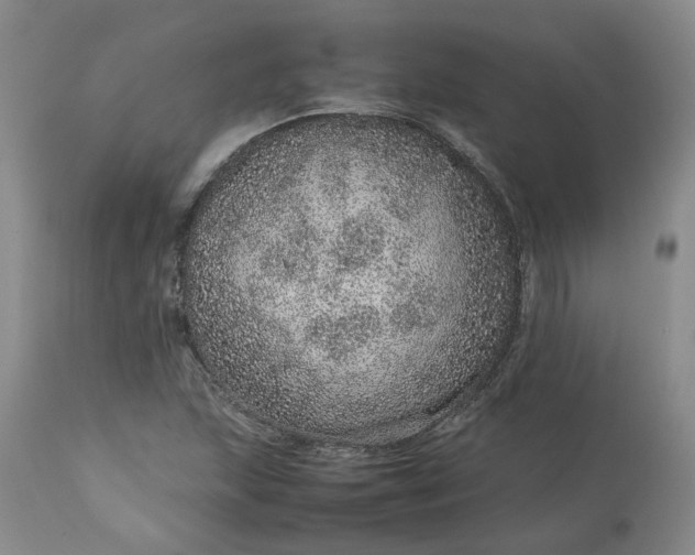 X0000113561215200910021546