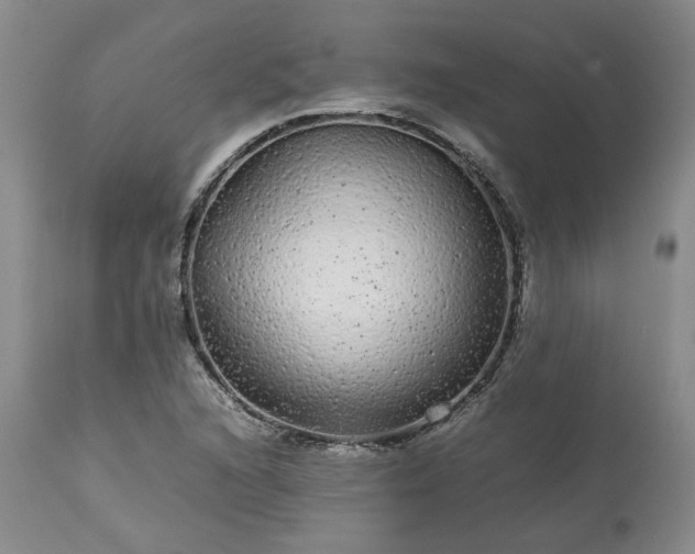 X0000113561216200910021547