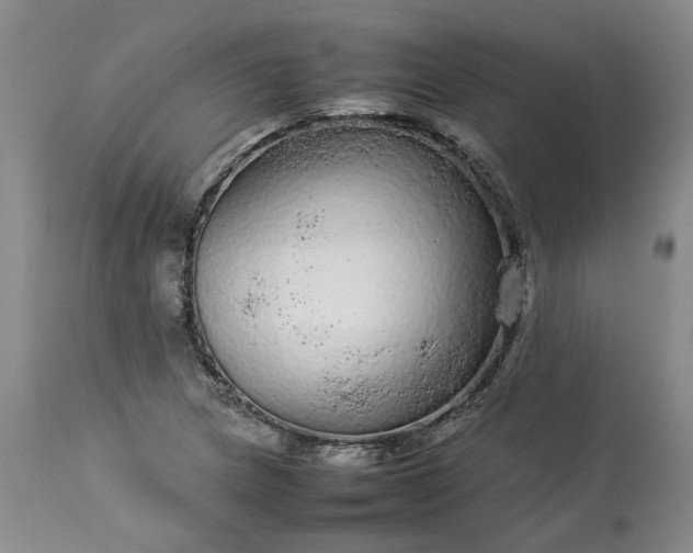 X0000113561217200910021547