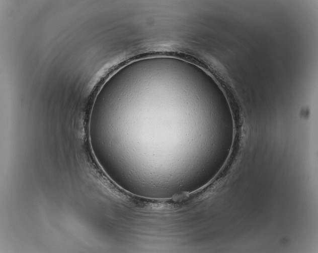 X0000113561218200910021547