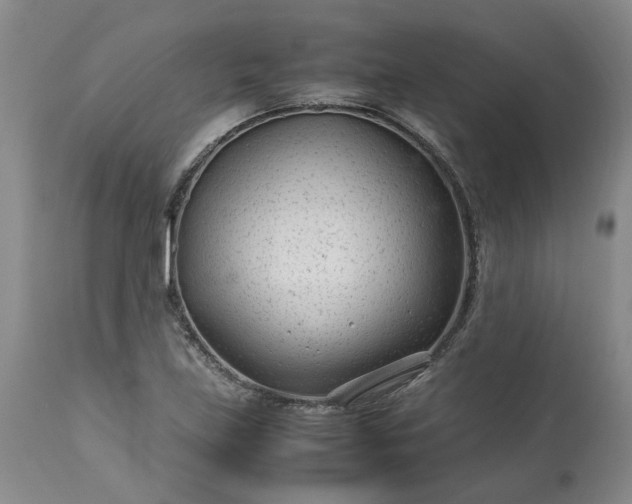 X0000113561219200910021547