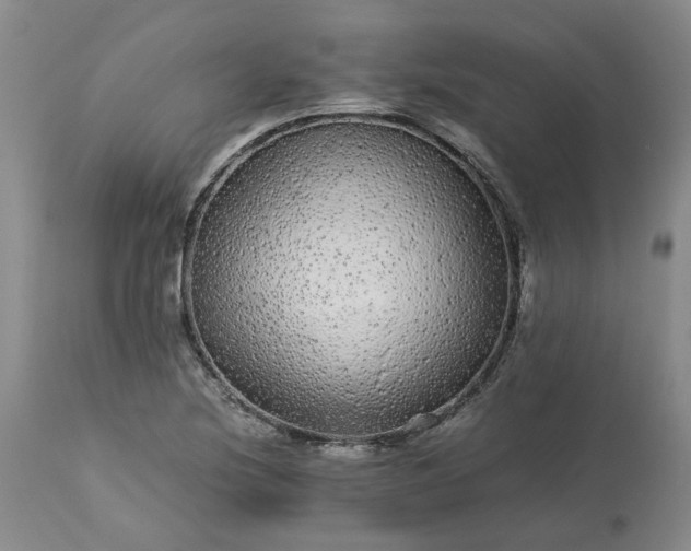 X0000113561220200910021547