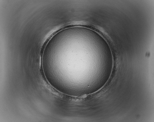 X0000113561221200910021547