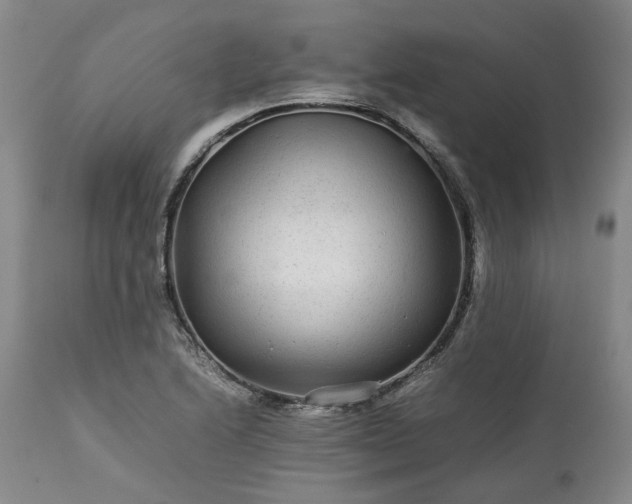 X0000113561222200910021547