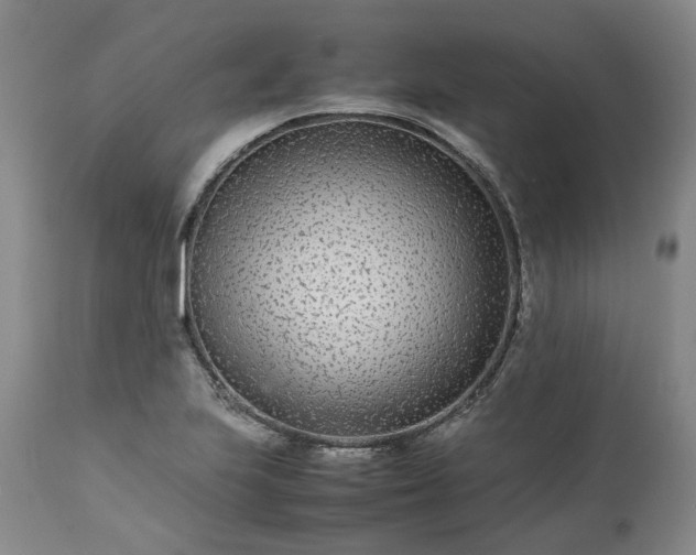 X0000113561223200910021547