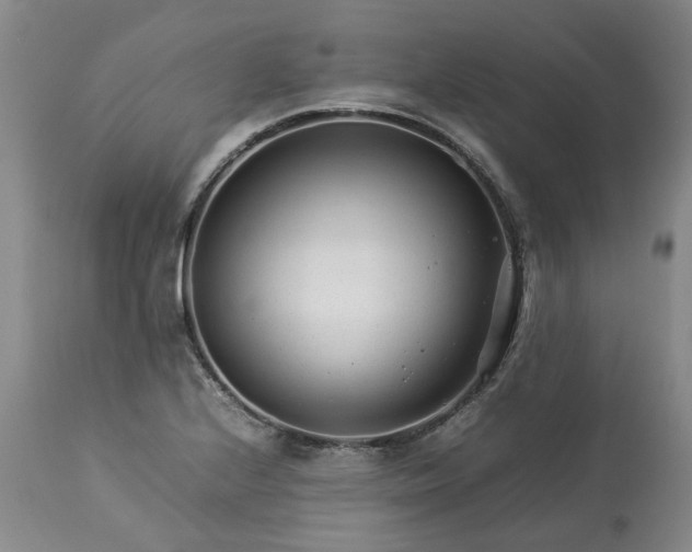 X0000113561224200910021547