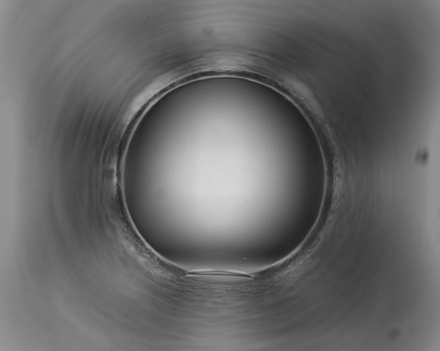 X0000113561226200910021547