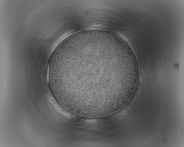 X0000113561227200910021547