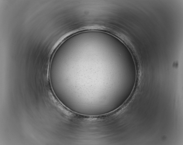 X0000113561228200910021547