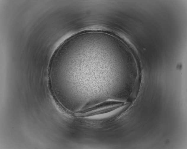 X0000113561229200910021547