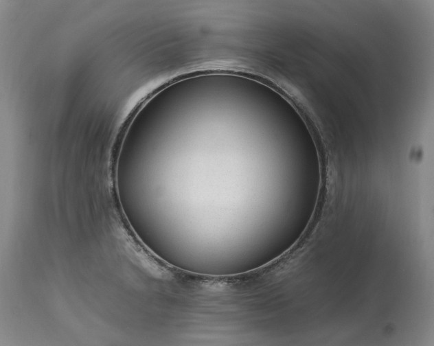 X0000113561230200910021547