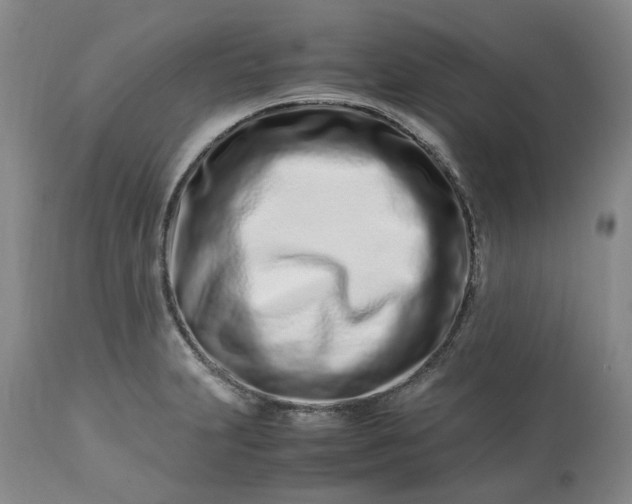 X0000113561231200910021547