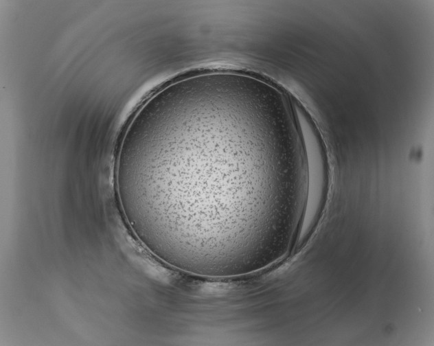 X0000113561232200910021547