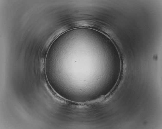 X0000113561233200910021547
