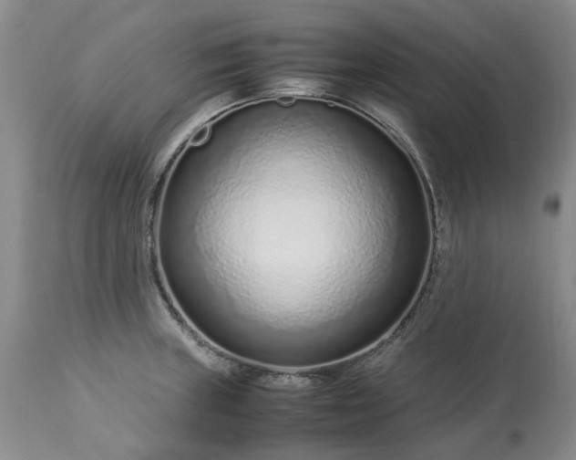 X0000113561235200910021547