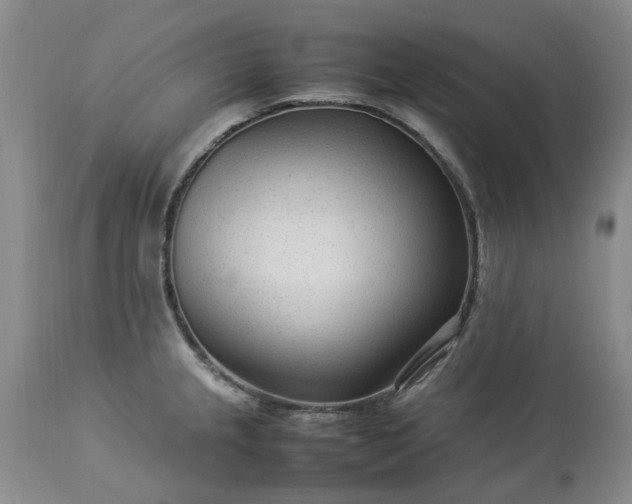 X0000113561237200910021547