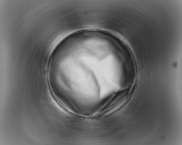 X0000113561239200910021547