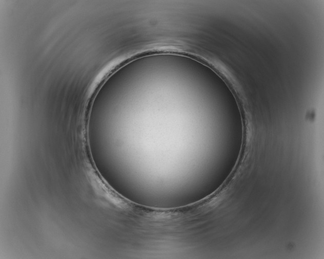 X0000113561240200910021547