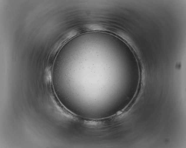 X0000113561241200910021547