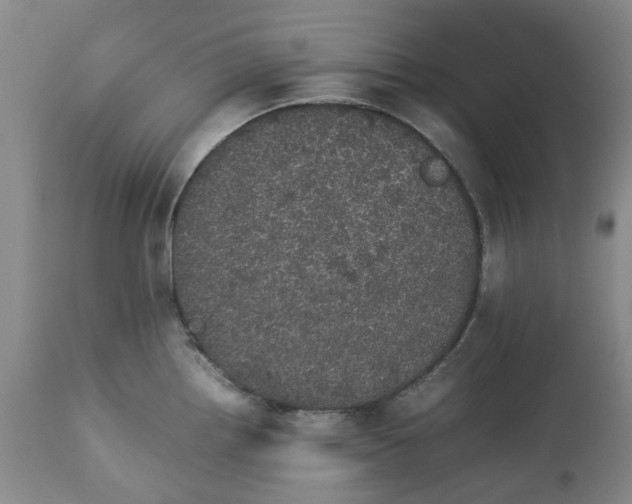 X0000113561242200910021547