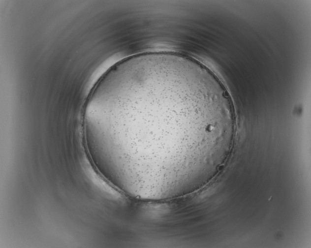 X0000113561243200910021547