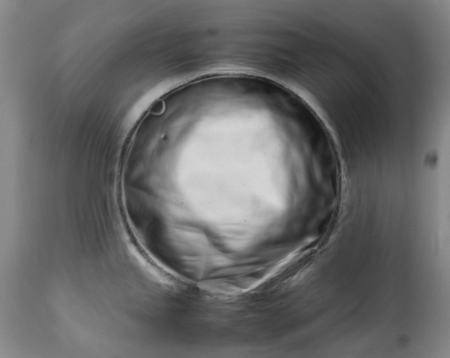 X0000113561245200910021547