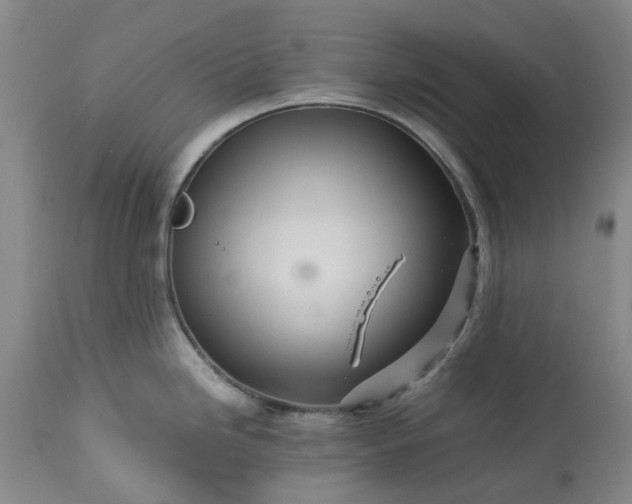 X0000113561246200910021547