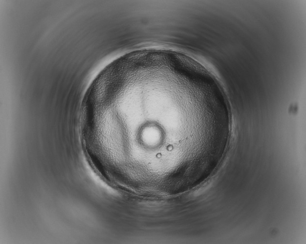 X0000113561247200910021547