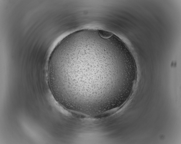 X0000113561248200910021547