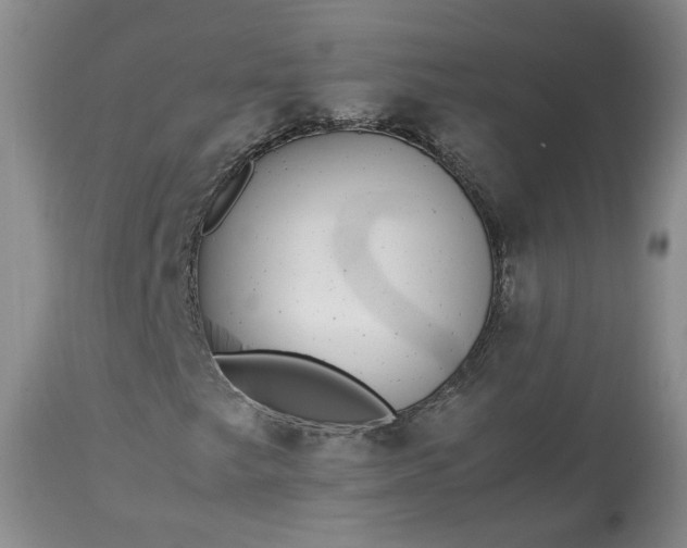 X0000113561249200910021546