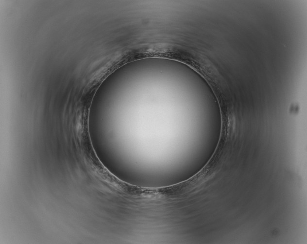 X0000113561250200910021546