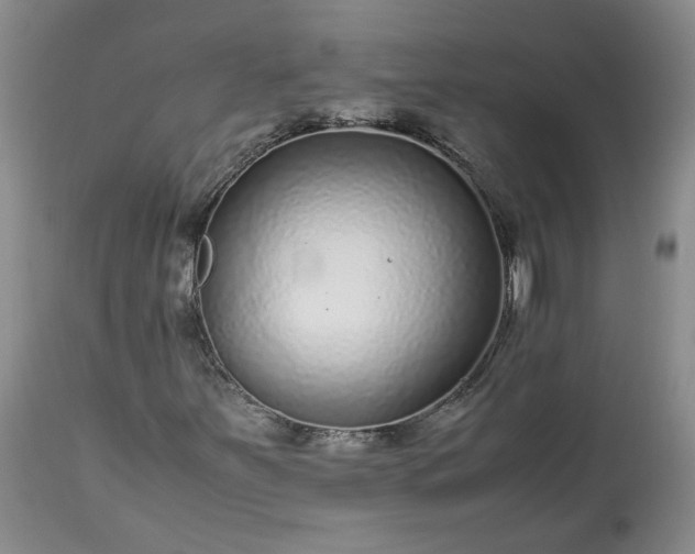 X0000113561251200910021546