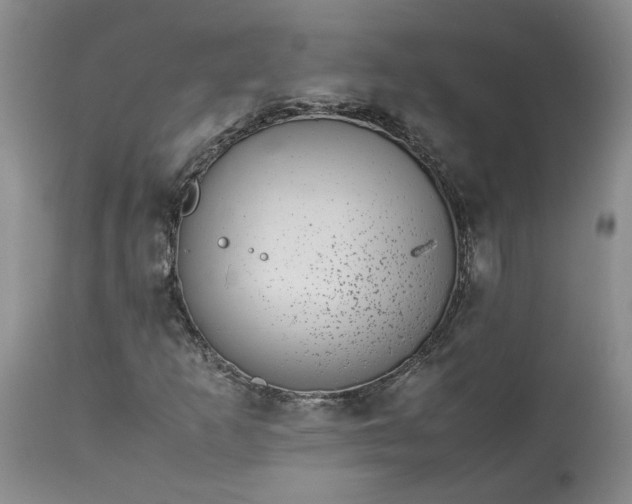 X0000113561253200910021546