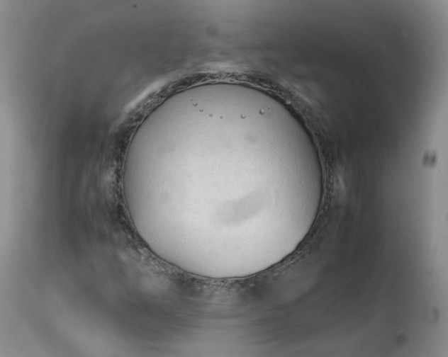 X0000113561254200910021546