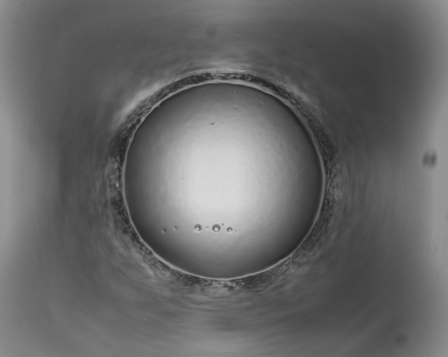 X0000113561255200910021546