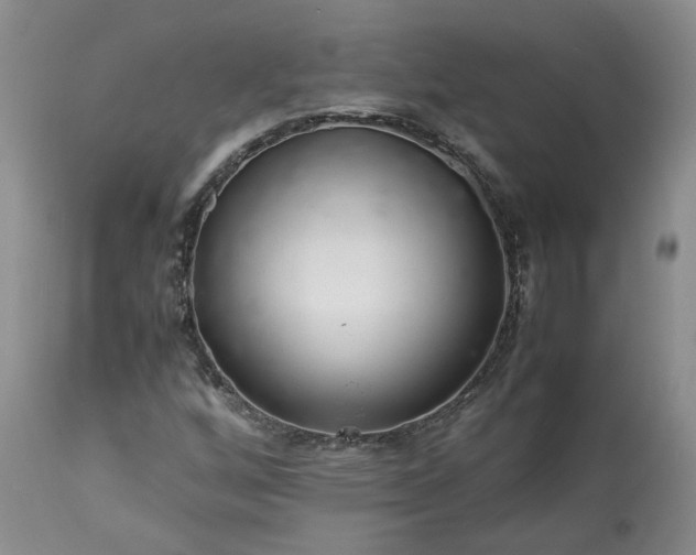 X0000113561256200910021546