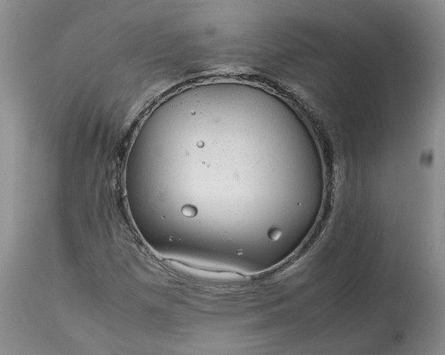 X0000113561257200910021546