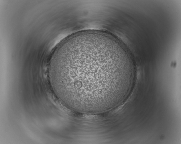 X0000113561258200910021546