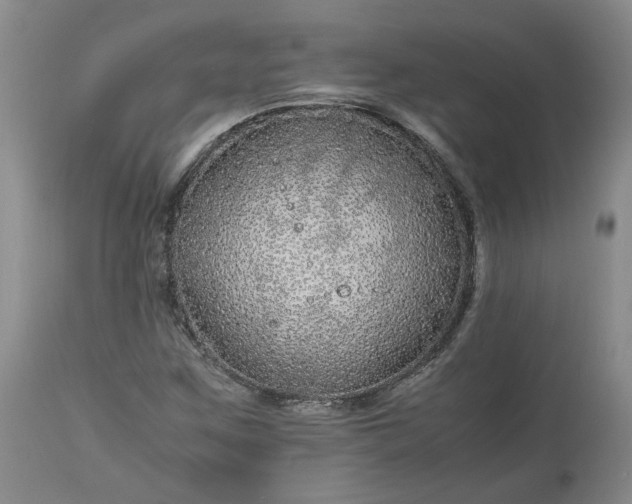 X0000113561259200910021546