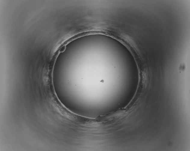 X0000113561260200910021546