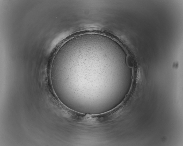 X0000113561261200910021546