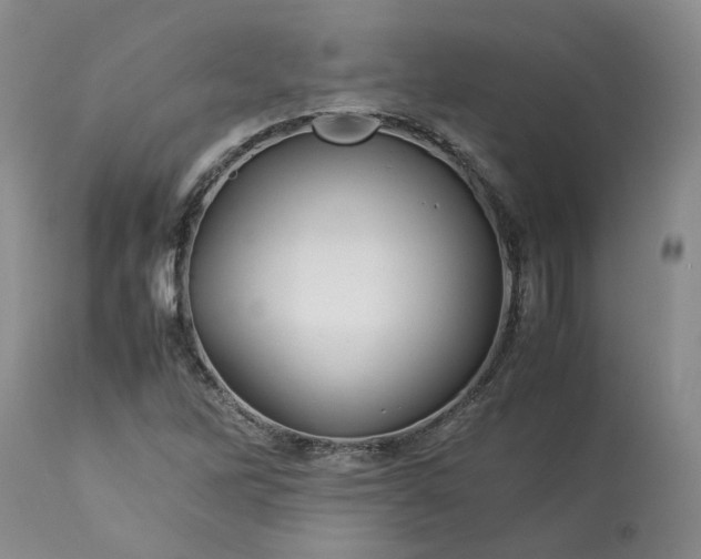 X0000113561262200910021546